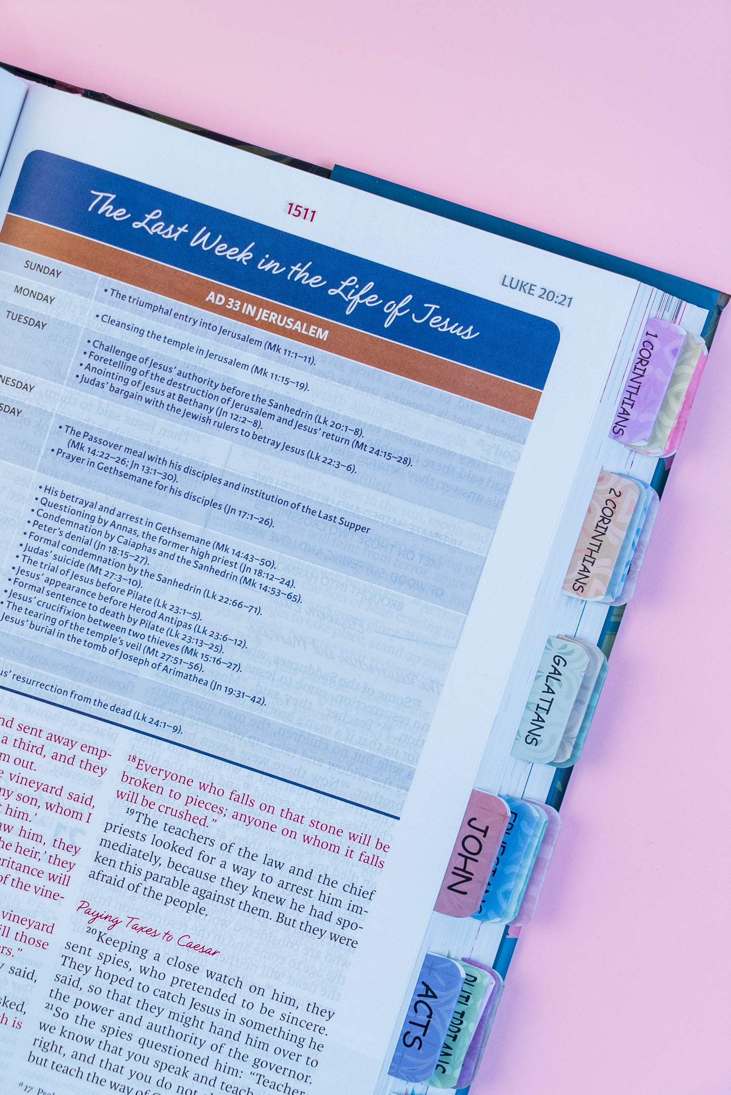 NIV Woman's Study Bible with tabs