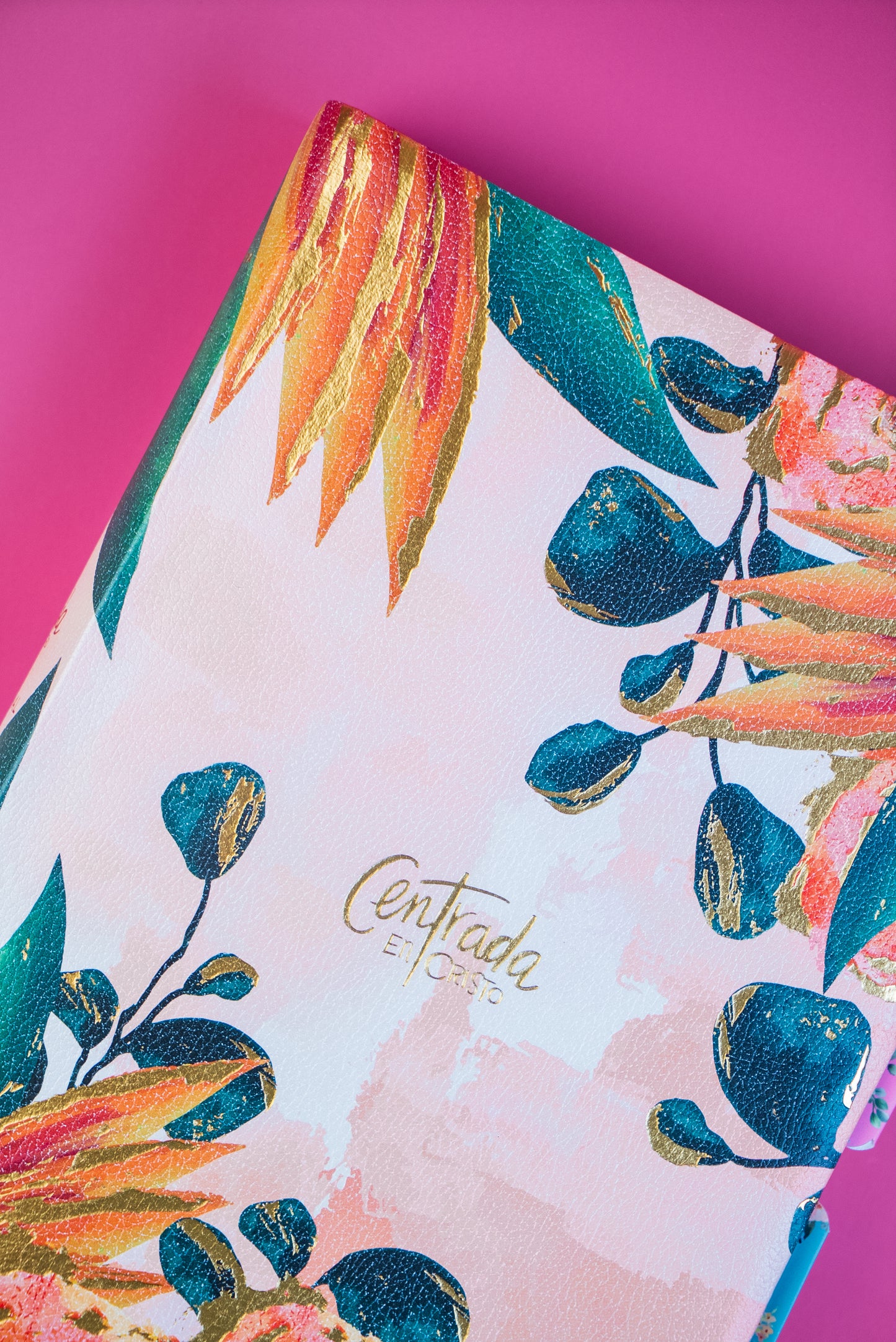 Biblia Reina Valera 1960 Devocional Centrada en Cristo con separadores