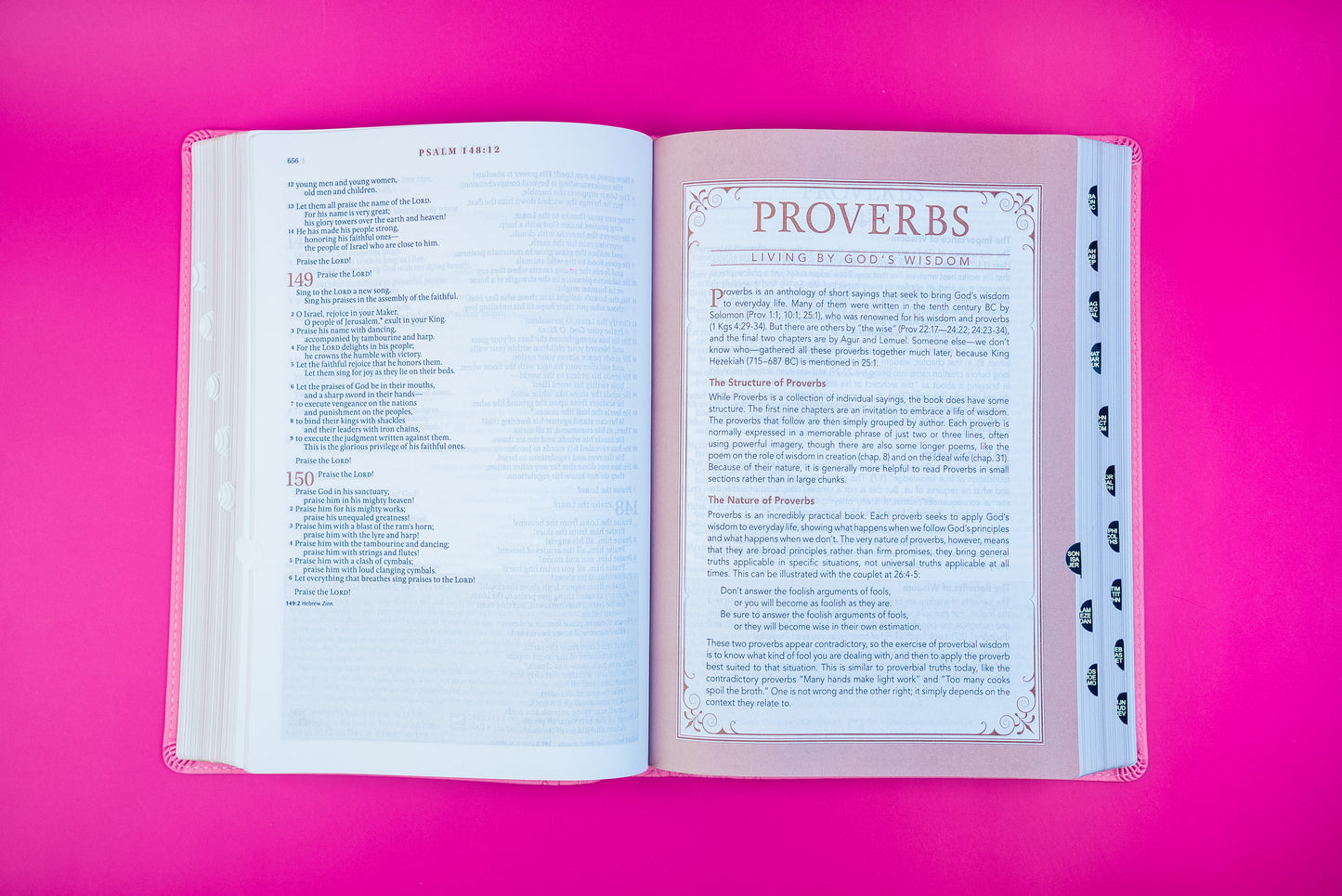 Pink NLT Study Bible