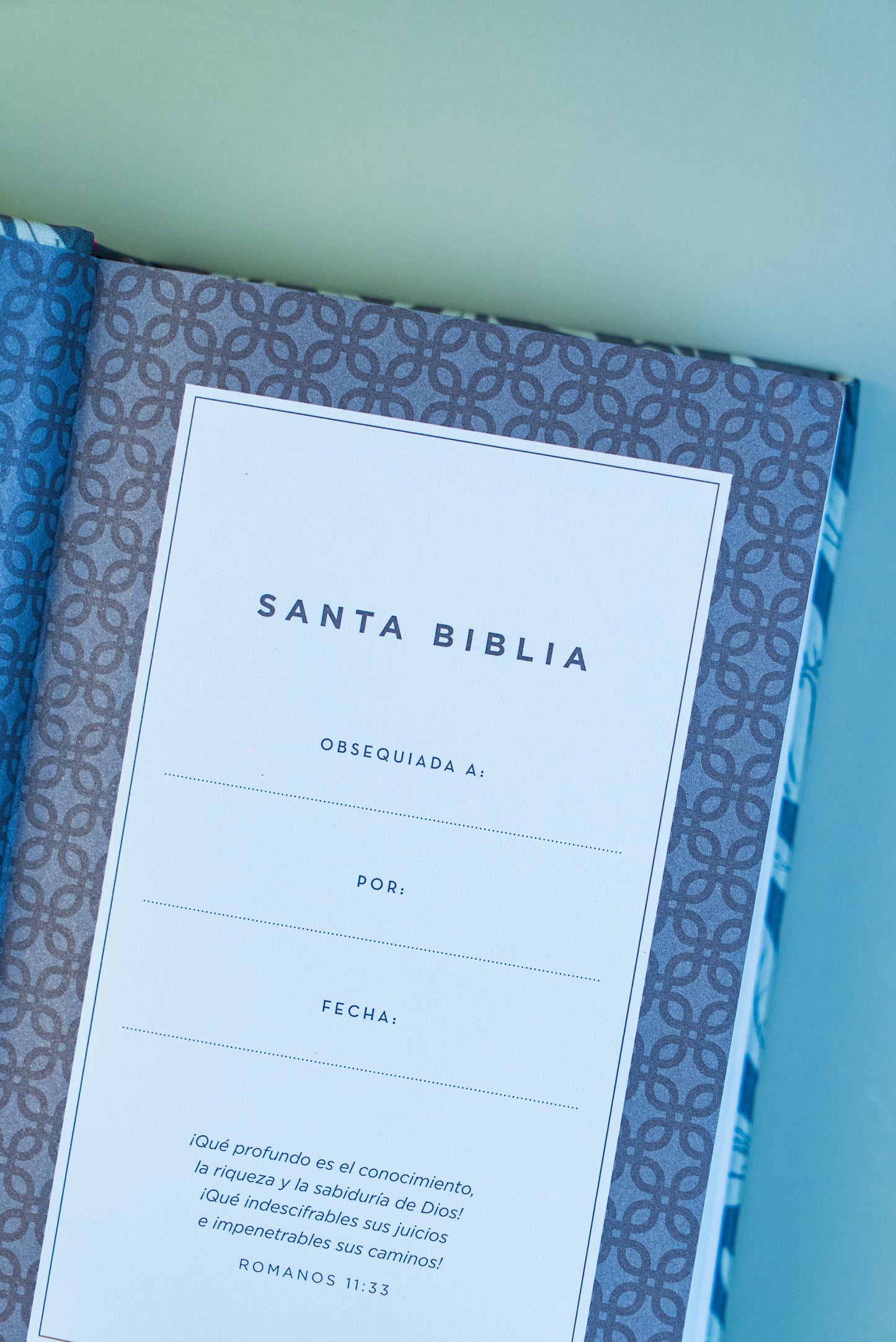 NVI Santa Biblia, Tamaño Compacto
