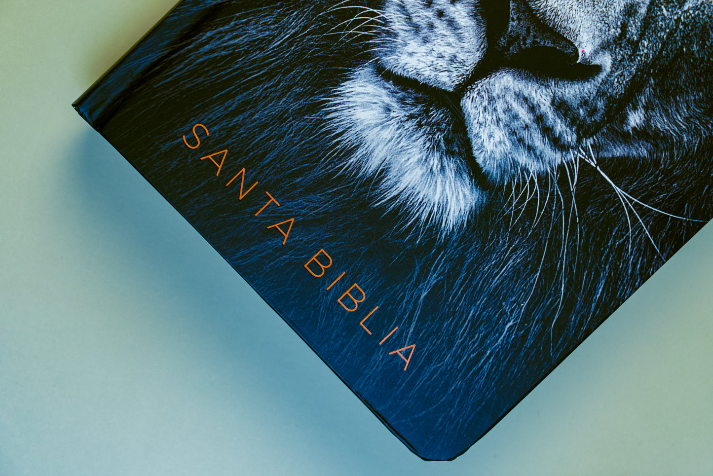 Biblia RVR 1960 León de Juda