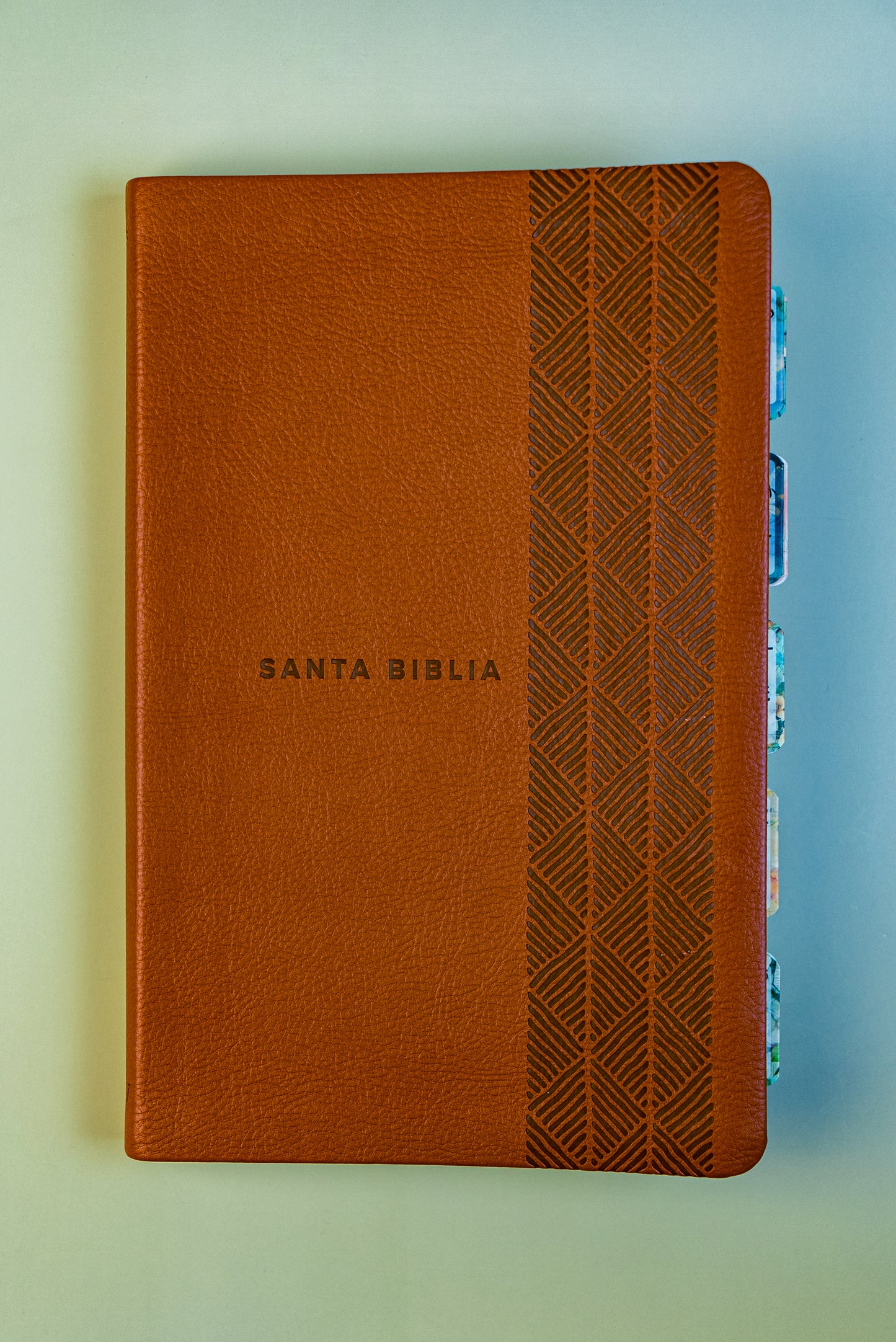 Biblia NTV con separadores para cada libro