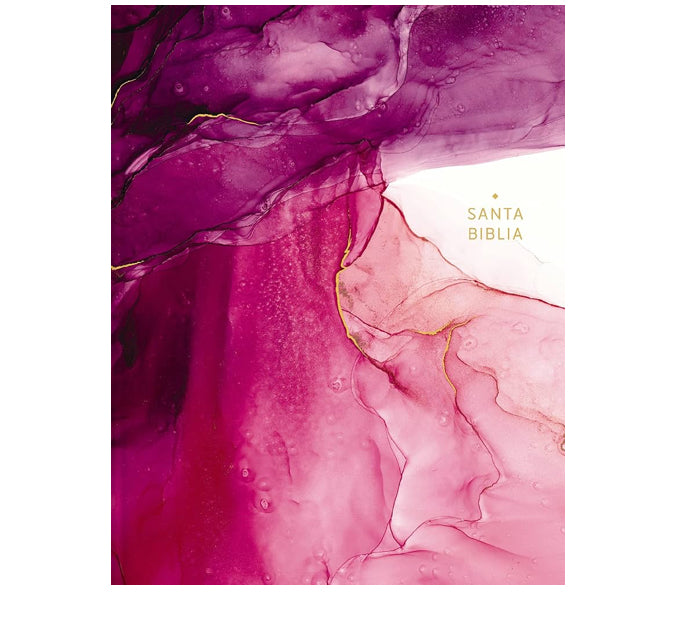 Santa Biblia Espanol