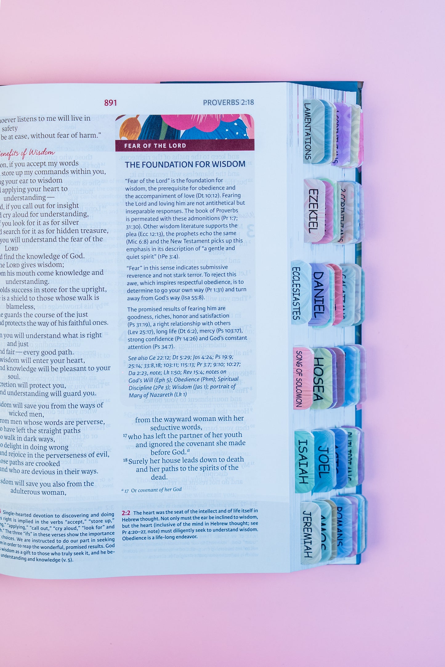 NIV Woman's Study Bible with tabs