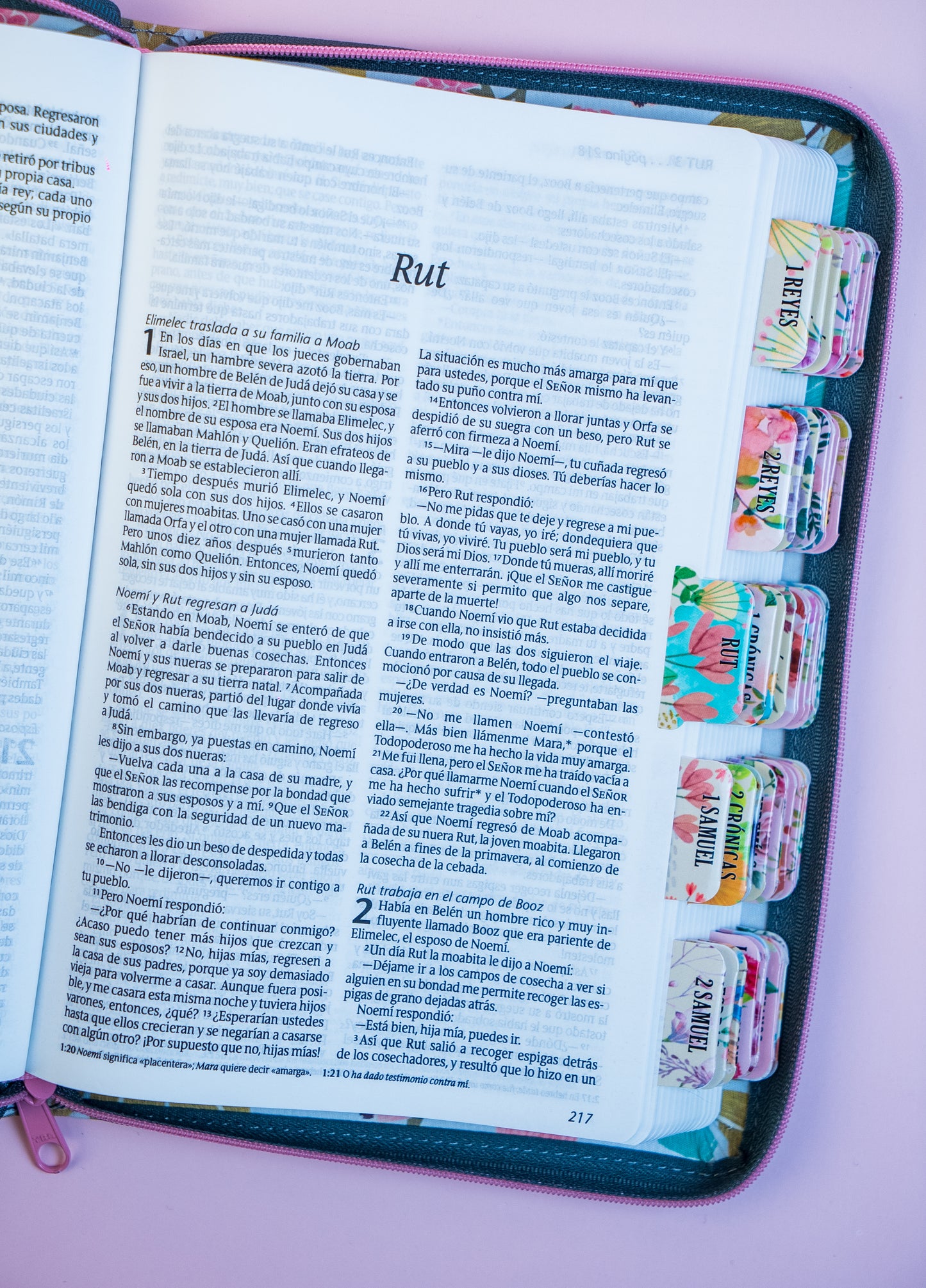 Biblia NTV, Edición zíper, Jardín con separadores