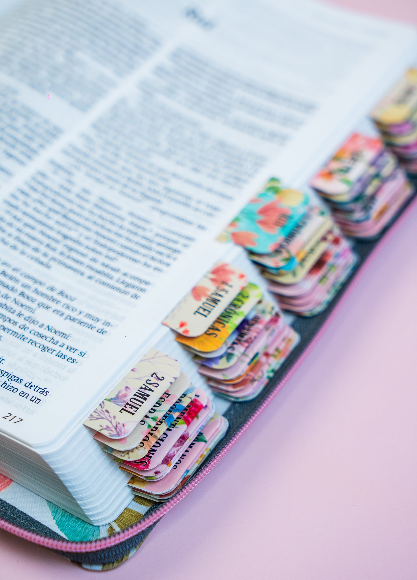 Biblia NTV, Edición zíper, Jardín con separadores