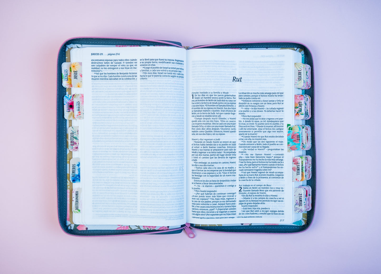 Biblia NTV, Edición zíper, Jardín con separadores